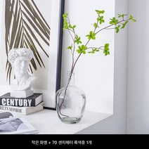 마취목 화병 배꼽 투명 유리 화병 목걸이 종진녹식 나뭇가지 거실 인테리어 식물 공장, ￥小号￥+瓶1CM 작은 병+70CM 아날로그 타레벨 1