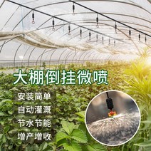 비닐하우스 스프링쿨러 자동 분무기 온실 자동살수, 단일열 60미터 40세트 회전노즐
