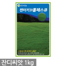 오차드그라스 1kg - 목초용 풀씨 잔디 씨 씨앗 잔디씨앗 잔디씨 양잔디 한국잔디 들잔디, 02_다농_캔터키31톨페스큐(1kg)