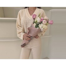 [리리앤코] 아닐브 피셔 브이넥 세미 크롭 니트