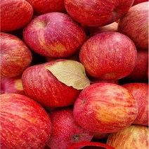 GAP인증/꿀사과/14브릭스이상/당도보장/2.5kg .5kg, 2.5kg(2호), 꿀부사/ 2.5kg/2호 /중/8-9과