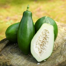 유진팡 제주산 그린파파야 산지직송 3kg 5kg, 1개, 파파야 5kg
