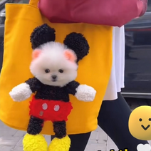 강아지에코백 애견가방 고양이 캔버스 숄더백 애완동물 얼굴 구멍뚫린 장바구니 애완견 애완묘, 레드
