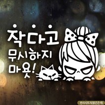 자동차스티커 작다고무시하지마욧 반사시트지 초보운전 차량용스티커 차량용스티커주문제작 차량스티커 자동, 상세페이지 참조