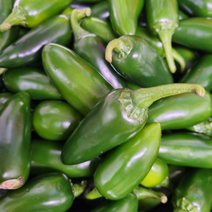 국산 할라피뇨 고추 1kg 멕시코고추 피클용 매운 매콤 아삭 피자 스테이크 장아찌 요리 살사소스 씨 생 퍼펙트 혈당 야채 수제 간장 식초 설탕, 1개