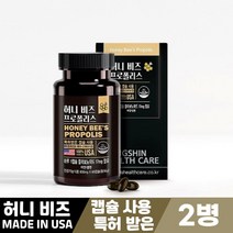 허니 비즈 프로폴리스 bee propolis 60캡슐 특허 캡슐 먹는방법, 2병, 허니 비즈 프로폴리스 600mg x 60캡슐
