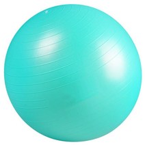 임산부짐볼 맡다 500 근 요가볼 송풍기 방폭 공 두꺼운 헬스 피트니스 초보자 임부 빅 사이즈 O39O 4344753456, D81 -물 블루 송풍기 기발함 공