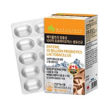 메이플트리 장용성 100억마리 생유산균 60캡슐 2개월분, 없음