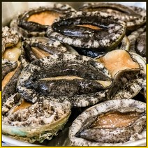 [완도직송] 산소포장 활 전복 국산 손질 특대 선물 1kg 새로푸드, 완도산 전복 1kg (12~15미)