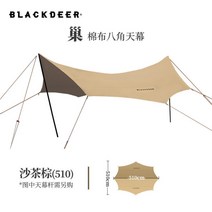 블랙디어 타프 그늘막 면 캐노피 방수 텐트 알루미늄 합금 대형 캠핑, 기본, 10.