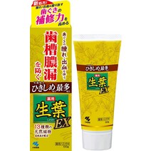 [일본소금 치약] 생엽 EX 쇼요 EX 치조 농루를 방지하는 약용 치약 와칸 허브의 향미 100g 의약외품