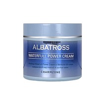 참존 알바트로스 워터풀 파워 크림 100ml