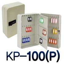 소형열쇠함 열쇠보관함 열쇠형 비밀번호형, KP-100(P)_밝은카키