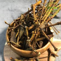 국내산 겨우살이 곡기생 600g 대용량