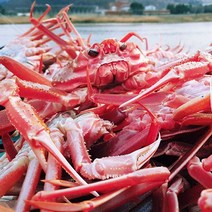 백두대간농수산 제철 생물 자숙 홍게 박달 대게 삼척 속초 영덕 포항 선주직송, 3kg(자숙 일반혼합)