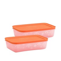 Tupperware 냉동고 보관 2 x1L