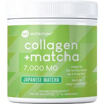 질건강 360 Nutrition 말차 가수분해 콜라겐 펩티드 분말, [01] 8온스1팩