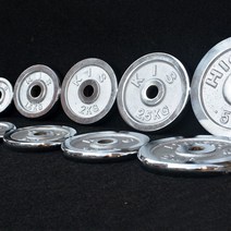 헬스 증량 경량원판 0.25kg 작은 벤치프레스 초경량 1.5kg 원판 저중량 바벨, 스틸2kgX2개