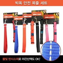 빅독 안전 목줄세트(특대)25mm 강아지 목줄 외출용품 /색상 랜덤, 단품