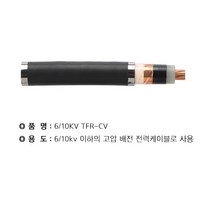 WM TFR-CV 6.10KV 50SQ * 1C(고압) 절단조장 WM, 상세페이지 참조