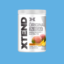 [5일내배송]엑스텐드 BCAA 헬스 보충제 망고맛 420g 운동 전후 먹는 30일분, 1개