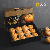 [자연맛남] 농협선별 전남 배 선물세트 7.5kg (12과), 단품