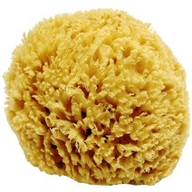 Unbleached Honeycomb Natural Sea Sponge - 100% Natural Strong Durable Hypoallergenic -for Childre, 6 to 6 ½