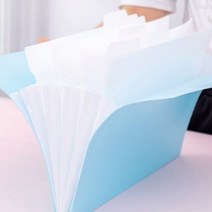 A4 똑딱이 아코디언포켓 파일케이스 화일철 부동산계약서 스티커보관함 프린트물 플라스틱 악보, 블루