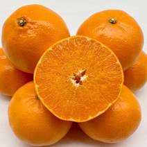 제주 천혜향 5kg 제철 못난이 제주도 천혜향 진맛깔, 1개