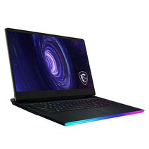 MSI 2021 GE76 Raider 17.3, 코어i7 11세대, 512GB, 16GB, WIN10 Home, GE76 Raider 11UG Win