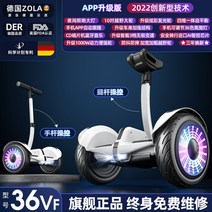 전동휠 호버보드 나인봇 화이트 블랙 무릅제어 36v 일반휠, 1, K