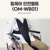 휠체어 몸통 안전 벨트 안전띠 체간지지 낙상 방지 예방