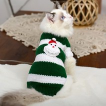 chol 스핑크스 고양이 컬러풀 스웨터, 크리스마스 그린