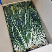 시나브로팜 2023년 양구 햇시래기1kg 2kg 산지직송, 1kg, 1개