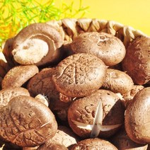 국산 무농약인증 장흥 생 표고버섯, 가정용특품, 1개, 1kg