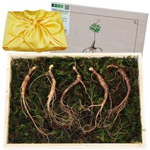 아리아리산삼 6 8 10년근 15뿌리 장뇌삼 산삼 산양삼 산양산삼 자연산 주 설 추석 선물세트, 1개, 선택9. 10년근 5뿌리