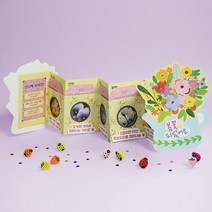 초1 자연 봄꽃종류 팝업북 DIY 책만들기 2개 수업자료 단체수업