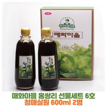 광양 매화마을 홍쌍리 선물세트 6호 청매실원 매실액 600ml 2병
