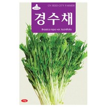 경수채 씨앗 경수채씨 15g, 1개
