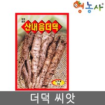 더덕씨앗 3g, 더덕