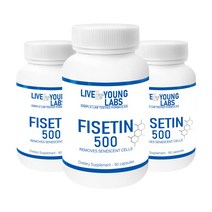 리브영랩스 피세틴 순도 99% 500mg 60캡슐 3병, 3개, 60정