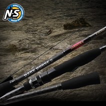 엔에스 NS 다크호스2 인쇼어로드, 다크호스 인쇼어