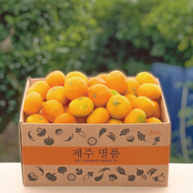 제주명품귤 고당도 효돈감귤 해거리농법 로얄과 프리미엄 뀰, 대과, 4.5KG, 1개