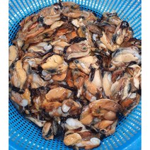 자연산홍합 백령도산 1.5kg, 1개