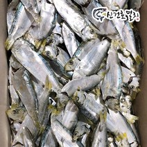 신건호멸치 국물용 국산 디포리(상급) / 건디포리 육수용멸치, 1.5kg, 1개