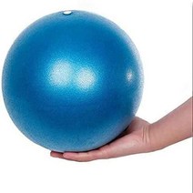 필라테스바렐 필라테스리포머 레더바렐 스파인코렉터 25CM 필라테스 요가볼 운동 방폭 체조 균형 피트니스, 01 파란