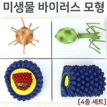 미생물 바이러스 모형(4종 세트)R KTS