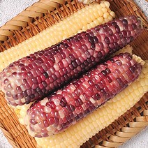 [산지발송]김동식님의 삶은 냉동 흑찰옥수수 6/9/15/30 개입, 03번 흑찰옥수수 15개입(3개씩 포장)