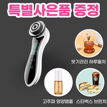 에어굿즈 고주파 갈바닉 저주파 EMS ELD 테라피 마사지기 안마기, 에어굿즈 고주파 갈바닉 마사지기 V2