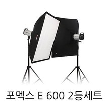 포멕스 E600 SS-A세트 촬영조명 스트로브 순간광 의류 및 제품 촬영 스튜디오, 1개, E600 SS-A세트+무선동조기